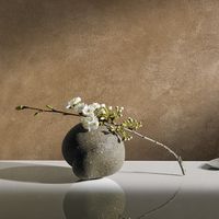 декоративни мазилки - 40905 възможности