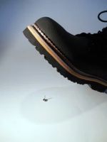 работни облекла - 47894 новини