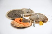 работни облекла - 86595 новини