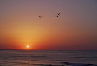 спа процедури - 9057 новини спа процедури - 42290 новини