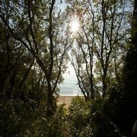 спа процедури - 22486 награди спа процедури - 14970 награди