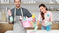 Domestic Cleaning Services - 69095 awards