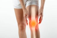 аптеки - 88774 вида