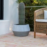 градински дивани - 17799 постижения | navun.bg градински дивани - 53926 постижения