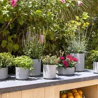 градински дивани - 61252 постижения | navun.bg градински дивани - 84839 постижения