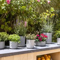 градински дивани - 84681 разновидности градински дивани - 5297 разновидности