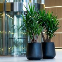 градински мебели - 62244 възможности градински мебели - 31795 възможности