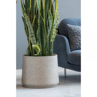 керамични саксии - 96133 вида | navun.bg керамични саксии - 28433 вида