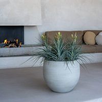 керамични саксии - 75673 комбинации керамични саксии - 98472 комбинации