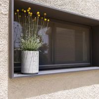 саксии - 23705 награди | navun.bg саксии - 58268 награди