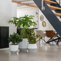 шезлонги - 51418 цени шезлонги - 92548 цени