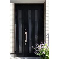 входни врати за къщи - 20516 типа входни врати за къщи - 61101 типа