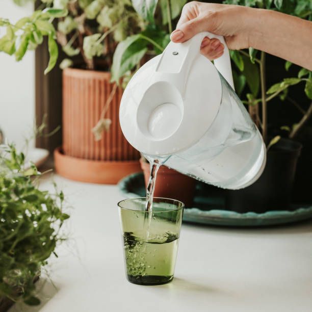 филтри за кана за вода - 53588 новини | laica.bg филтри за кана за вода - 6453 новини