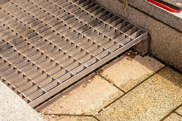 гидероси - 50719 снимки