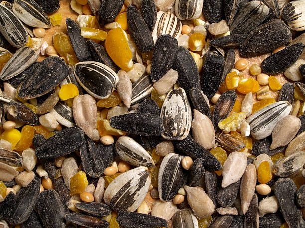 Гранули за папагали - 66222 цени