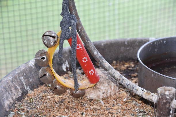 Играчки за вълнисти папагали - 56605 цени