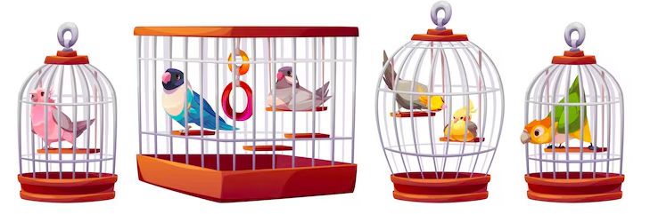 Клетка за вълнисти папагали - 68933 новини