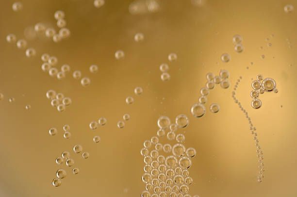 фраголино вино - 60779 постижения фраголино вино - 96212 постижения