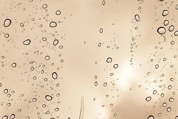 пенливо вино - 33872 снимки