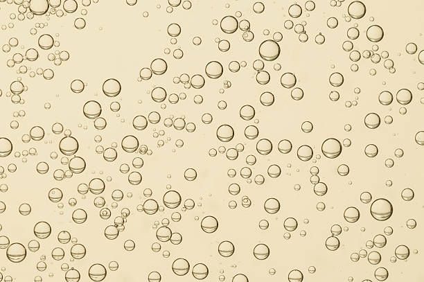 Совиньон блан - 9153 постижения