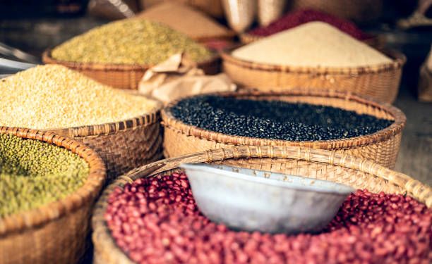 зърноборса - 54680 вида