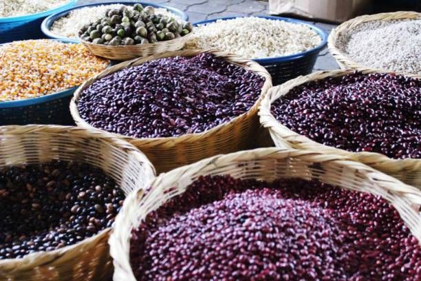 зърноборса - 31727 снимки