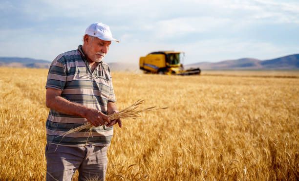 агро новини - 32884 предложения