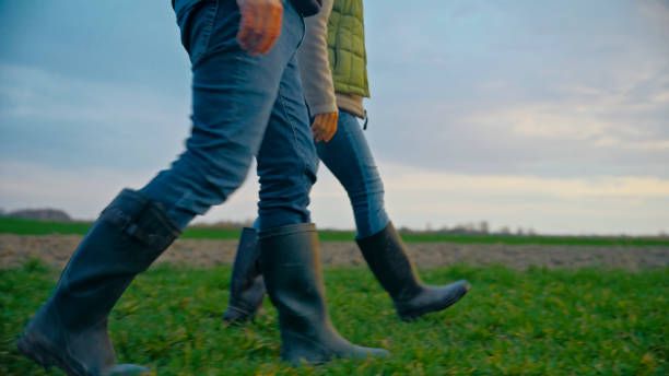 БАБХ - 47289 възможности | agrovest.bg БАБХ - 58067 възможности