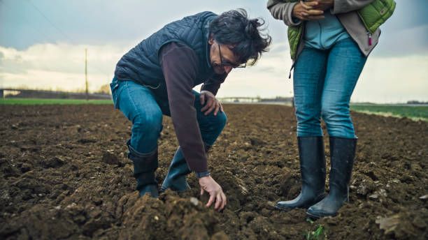 БАБХ - 15301 снимки | agrovest.bg БАБХ - 24746 снимки