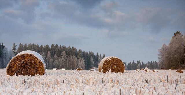 МЗХ - 10952 новини | agrovest.bg МЗХ - 28908 новини