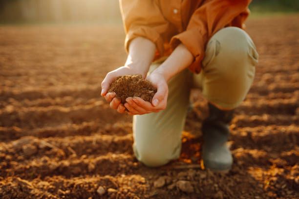 земеделие - 42255 оферти